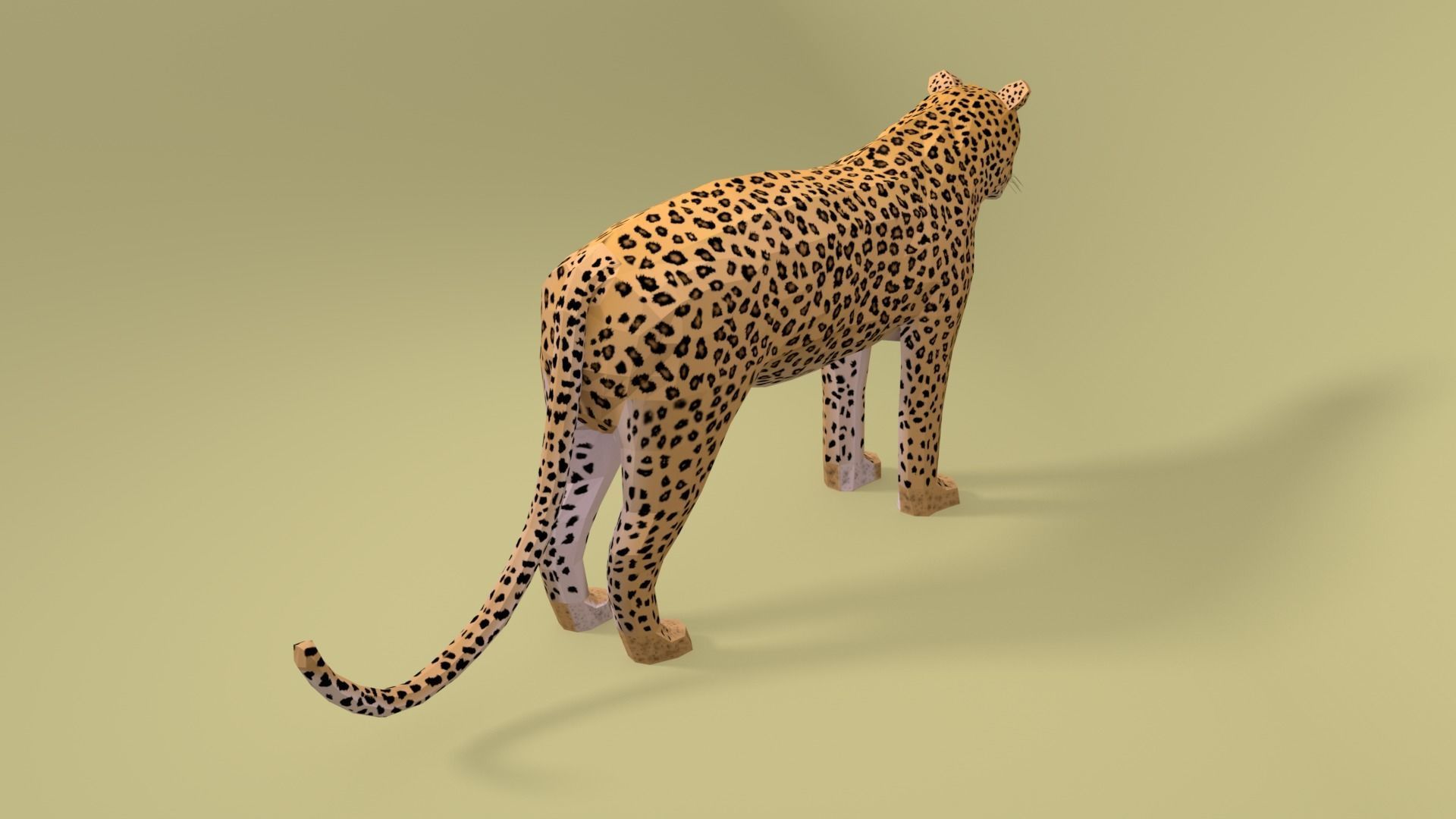 Low Poly Cartoon Leopard Low-poly 3D model_5