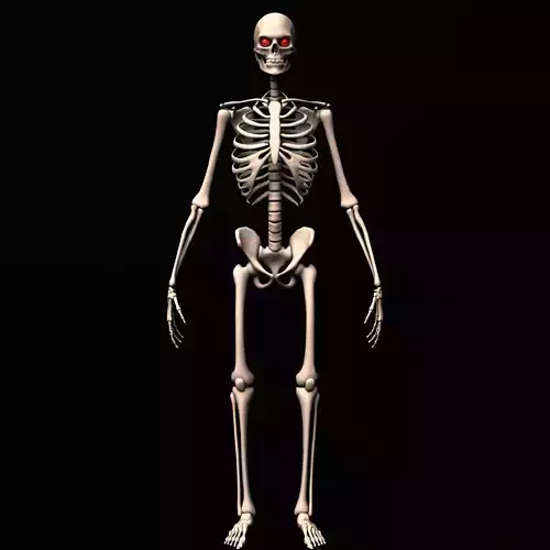 skeleton rig