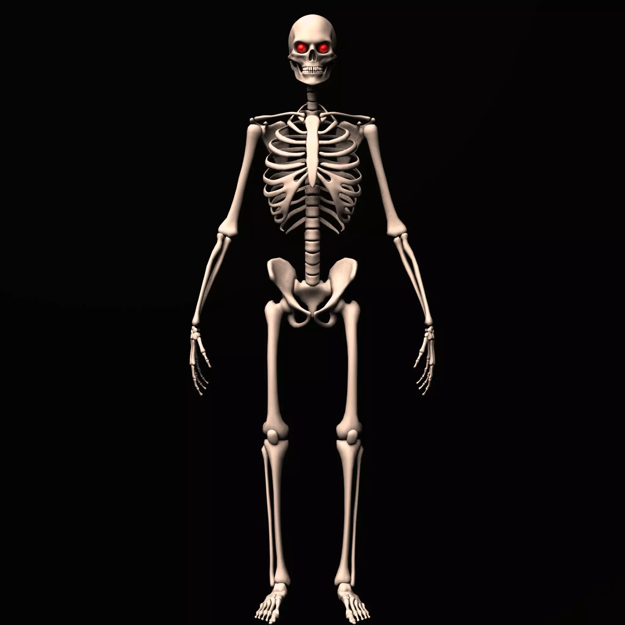 skeleton rig Low-poly 3D model_0