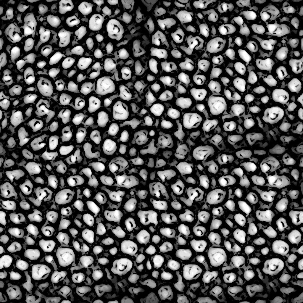 skeleton rig Low-poly 3D model_6