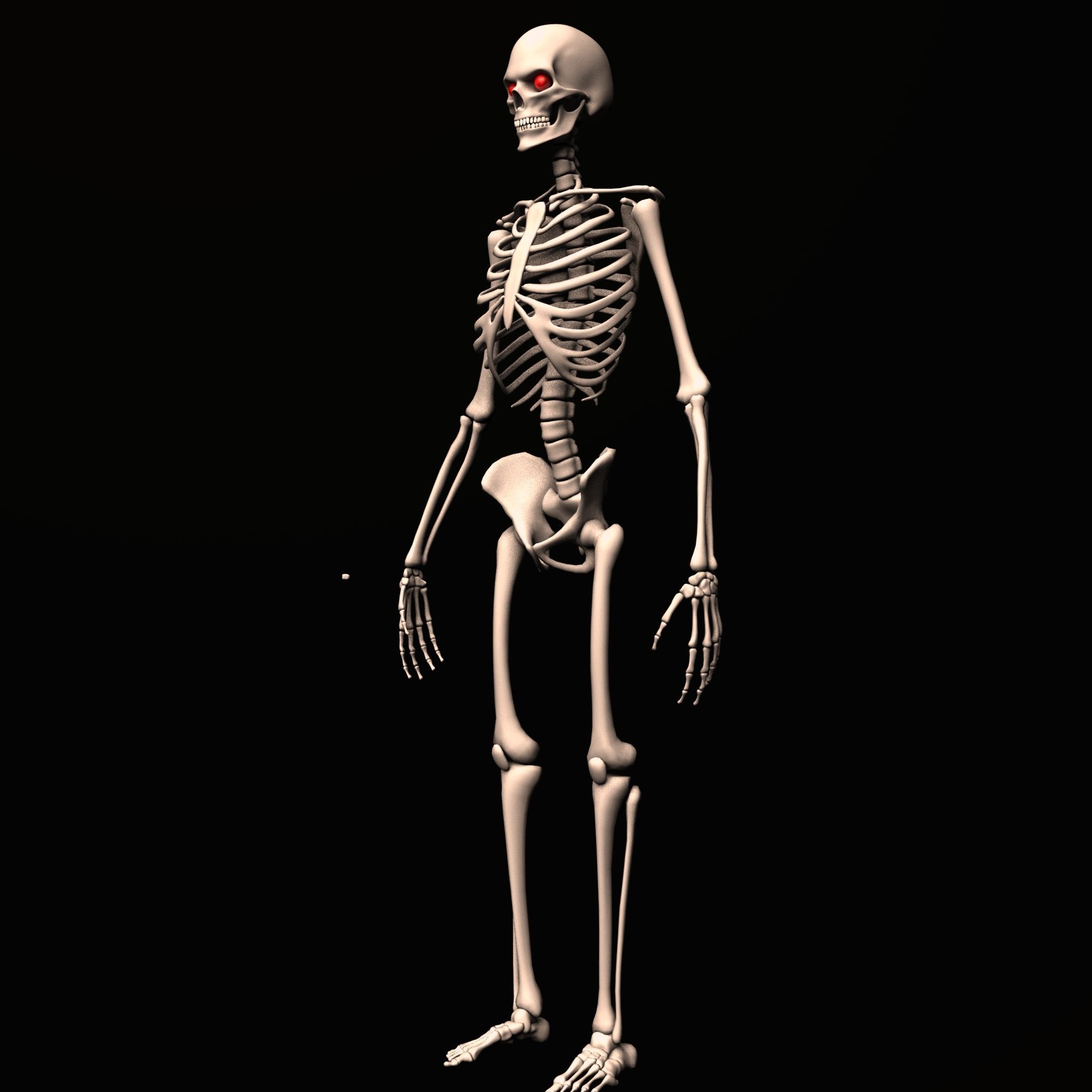 skeleton rig Low-poly 3D model_2