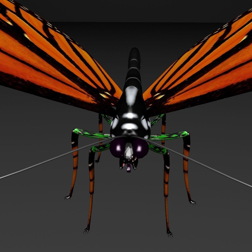 Butterfly model monarch - monarch Low-poly 3D model_5