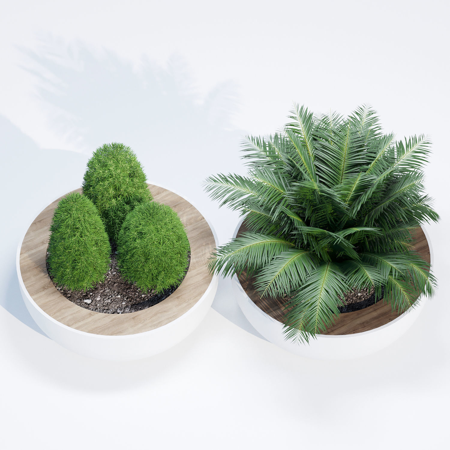 Lid planter 3D model_3