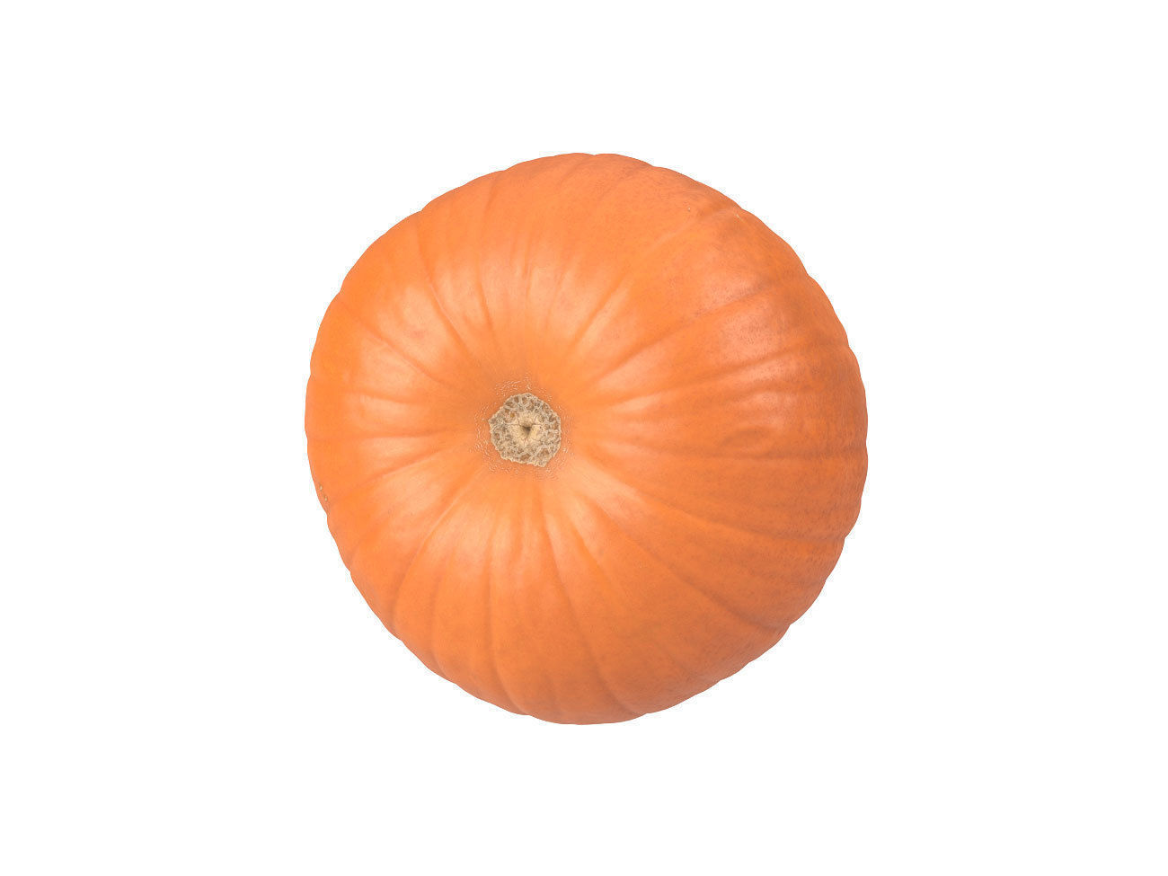 Photorealistic Pumpkin 3D Scan 3D model_5
