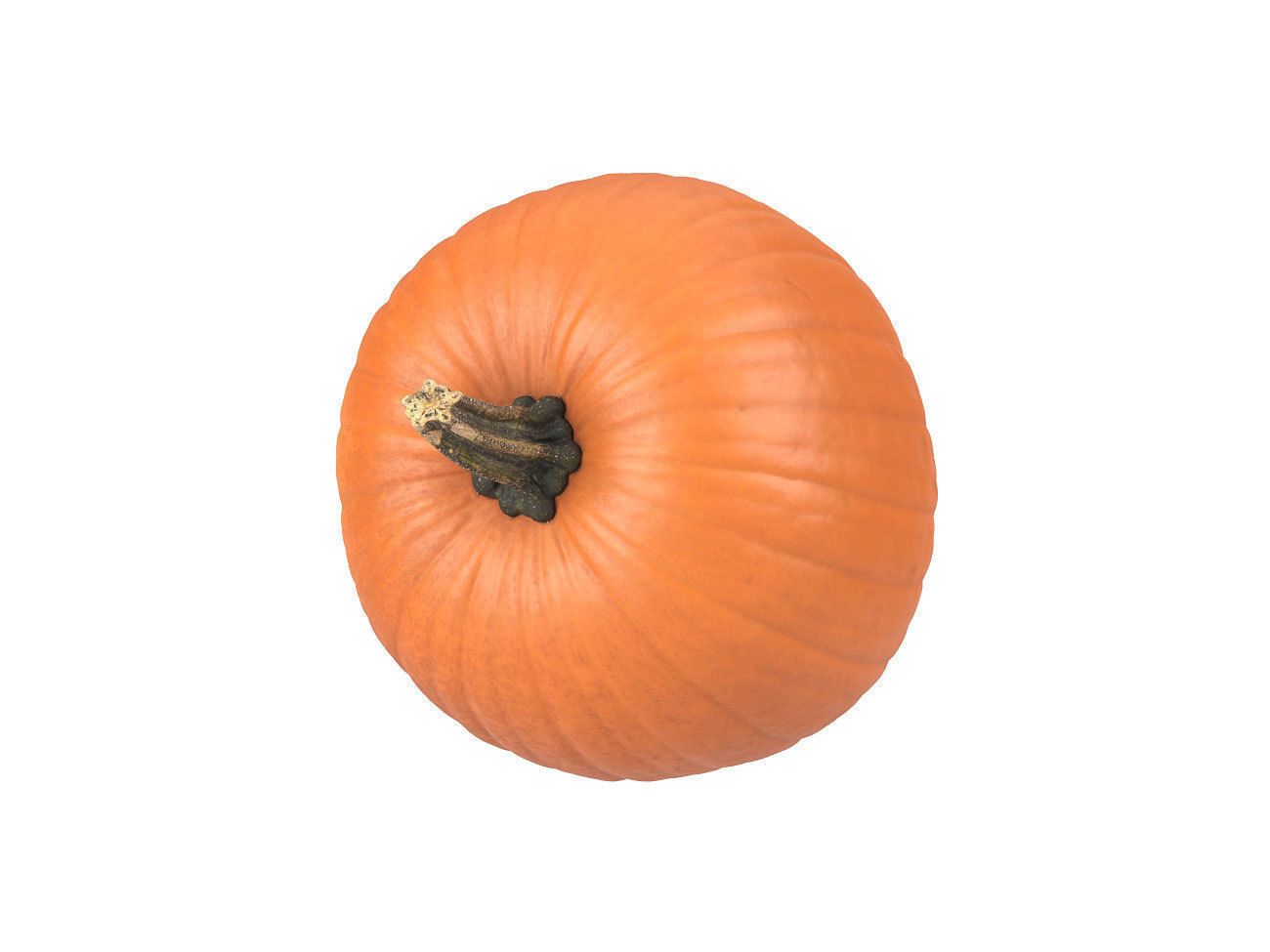 Photorealistic Pumpkin 3D Scan 3D model_4
