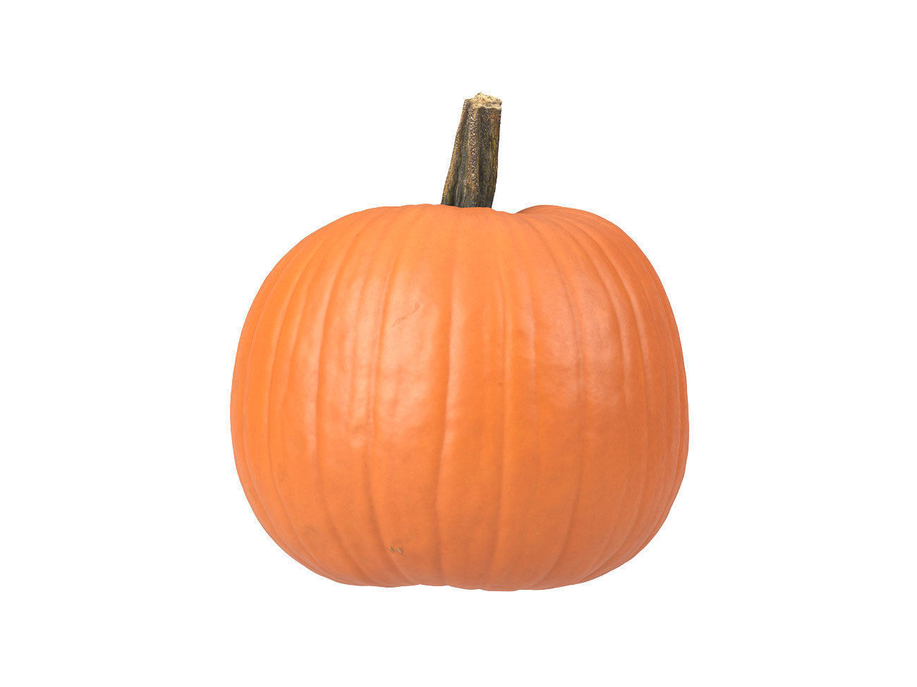 Photorealistic Pumpkin 3D Scan 3D model_1