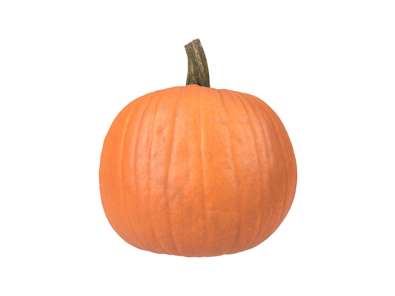Photorealistic Pumpkin 3D Scan 3D model_2