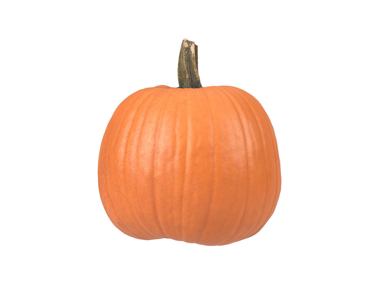 Photorealistic Pumpkin 3D Scan 3D model_3