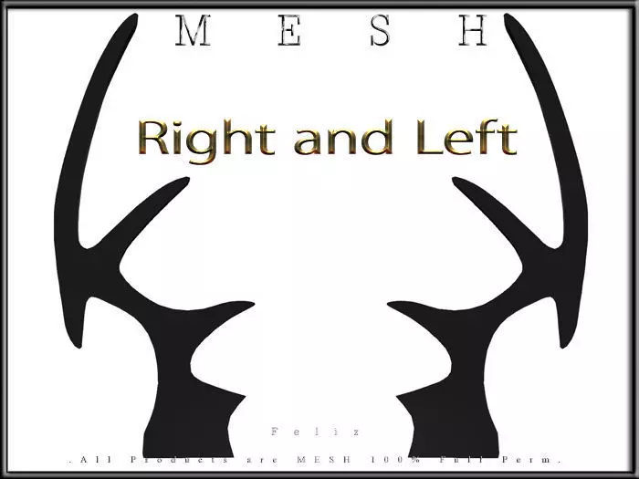 Bat Wings - Right and Left Low-poly 3D model_0