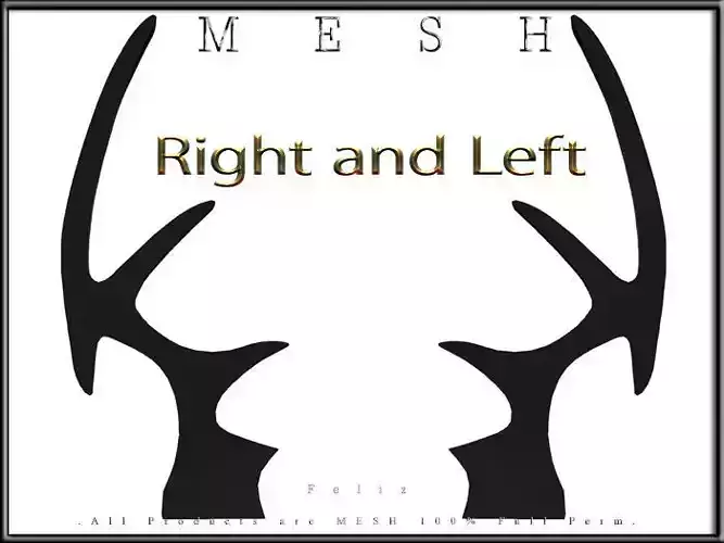 Bat Wings - Right and Left