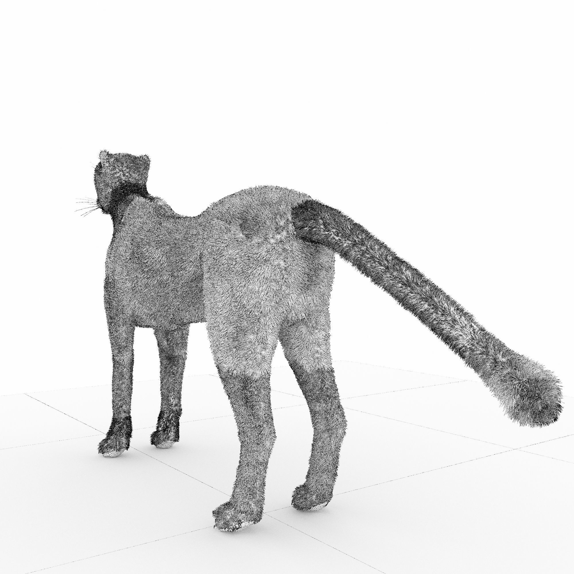 Cheetah 3D model_9