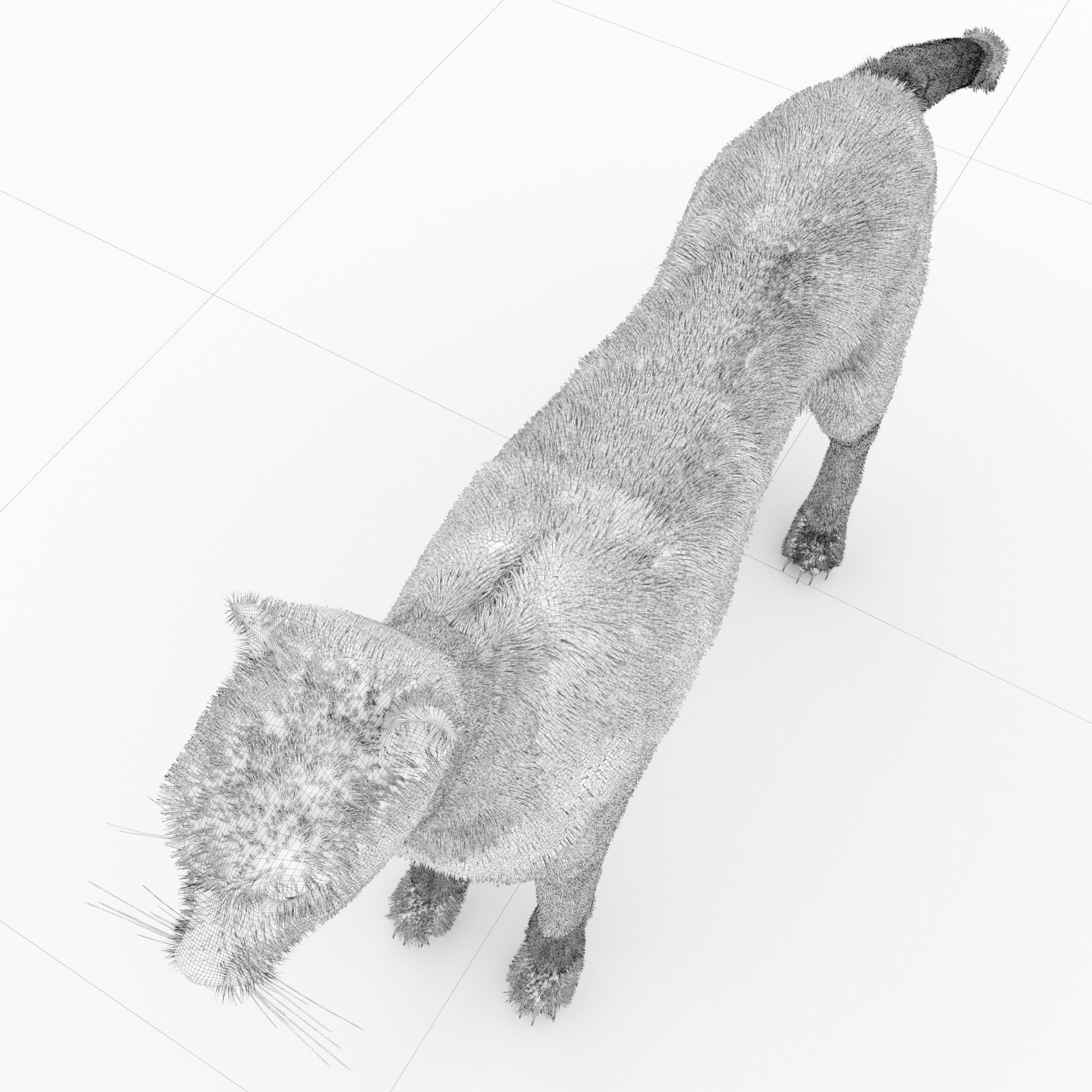 Cheetah 3D model_7