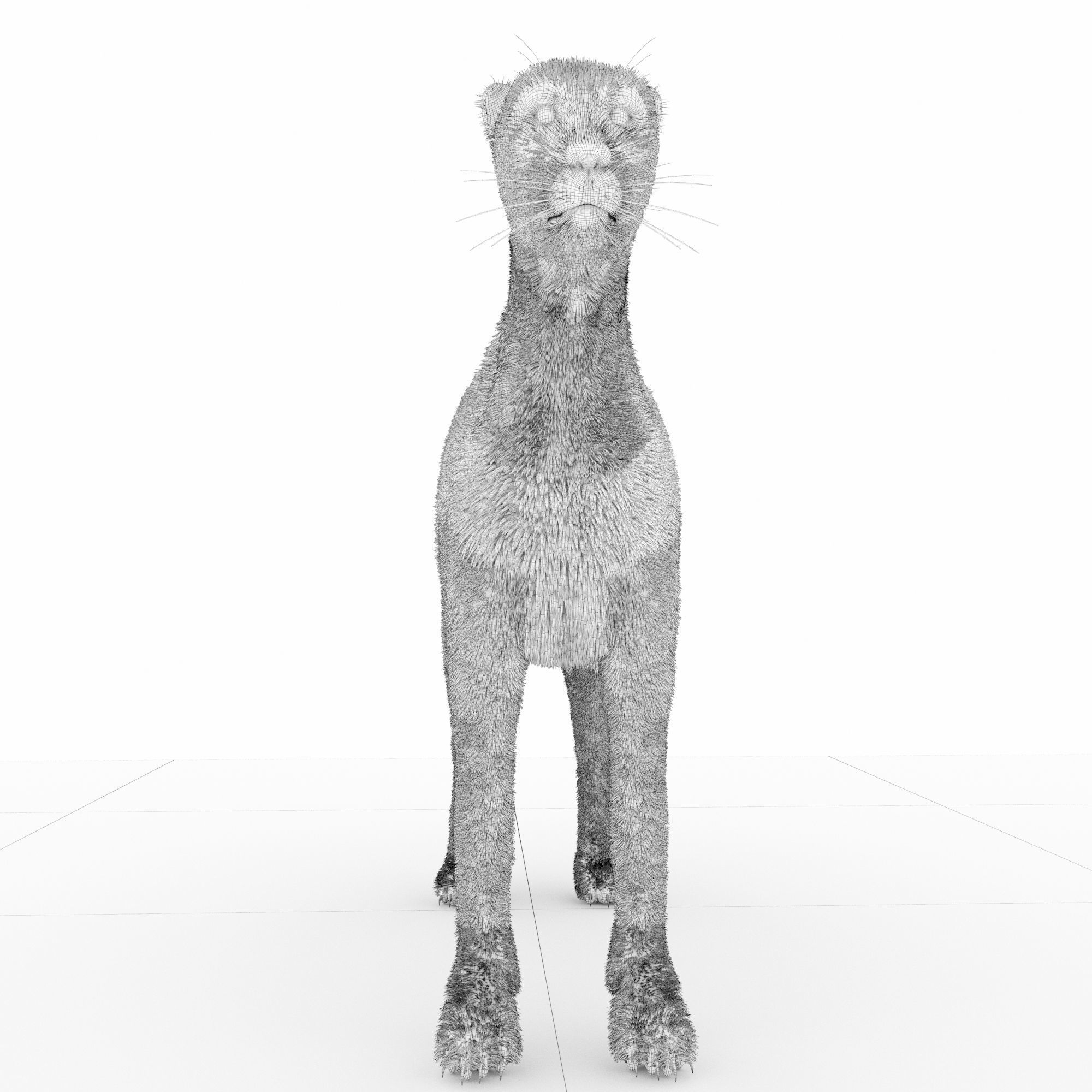 Cheetah 3D model_8