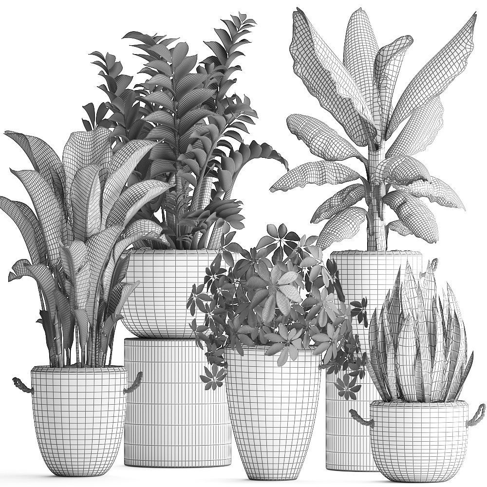 Collection of Exotic Plants 392 3D model_8