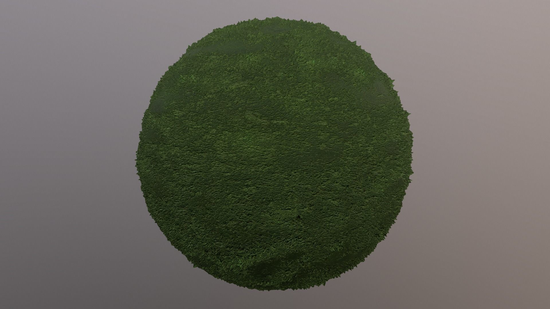 Grass pbr moss Texture_4