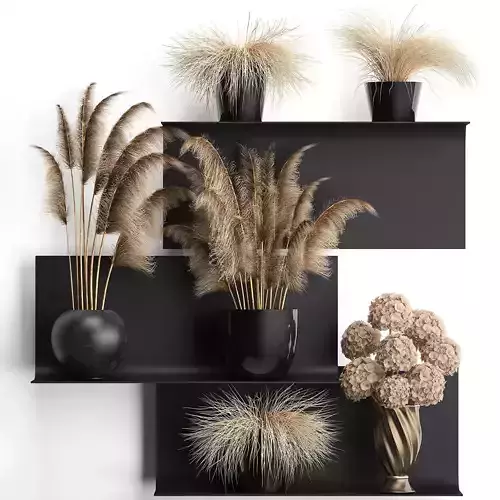 collection of dried flowers in vases