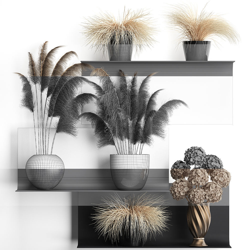 collection of dried flowers in vases 3D model_5