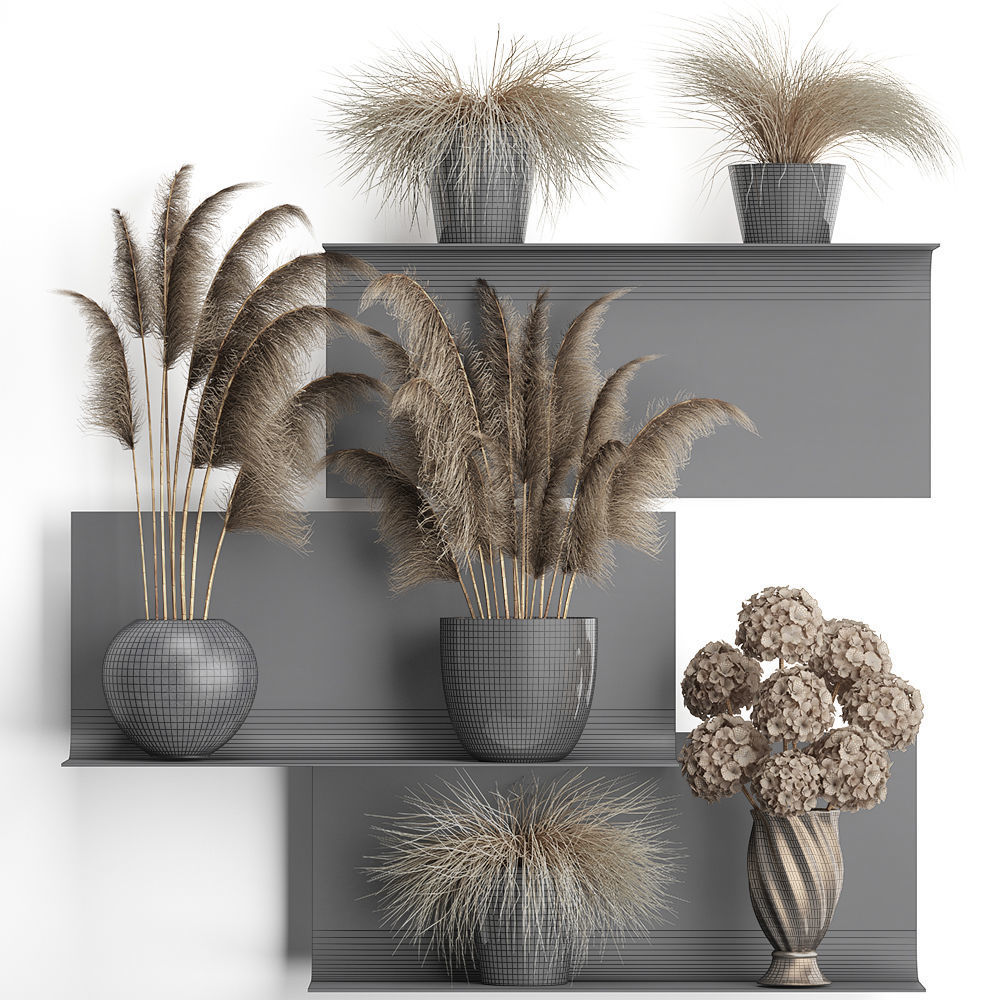 collection of dried flowers in vases 3D model_6