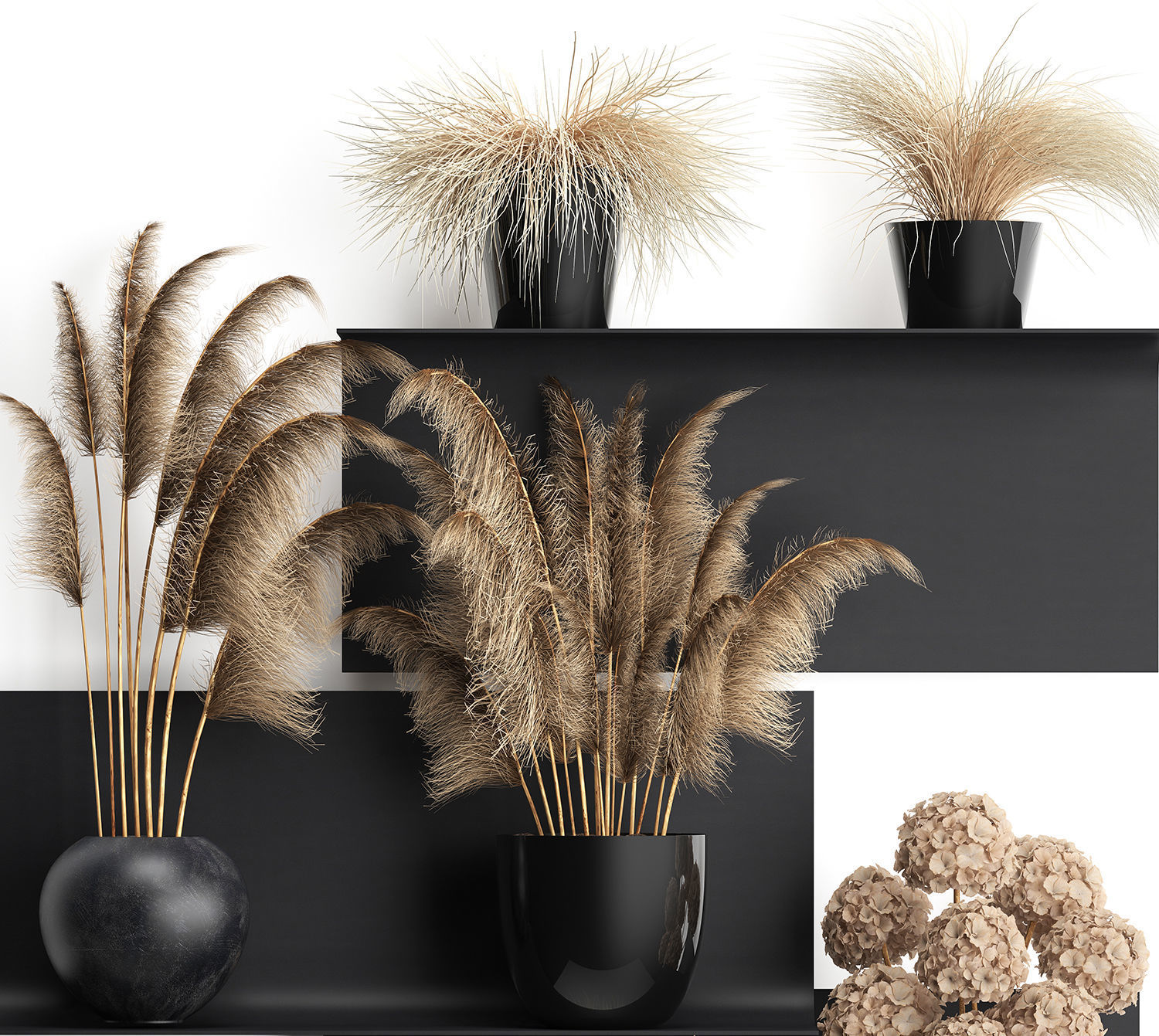 collection of dried flowers in vases 3D model_1