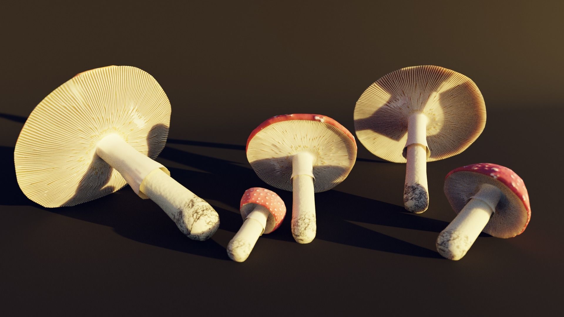 mushroom pack - fly agaric 3D model_1