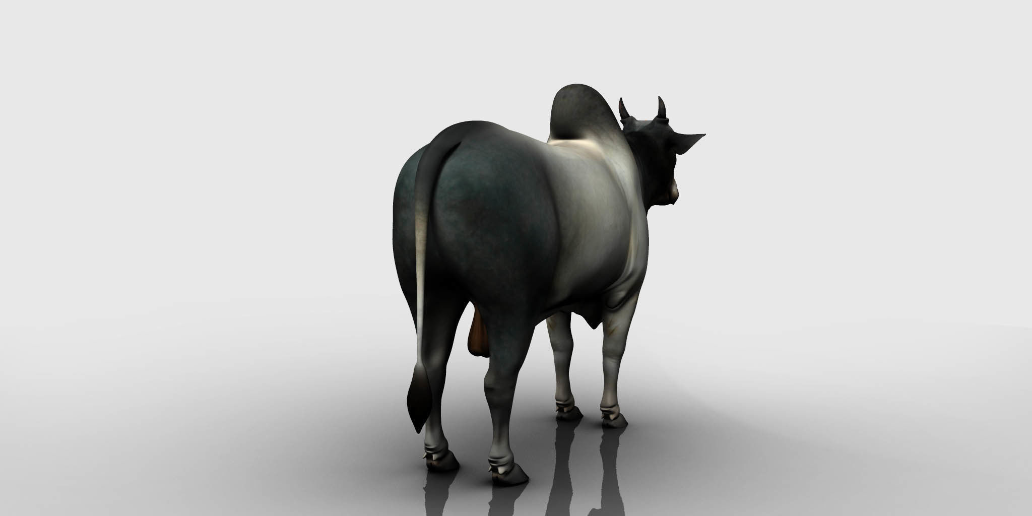 bull 3d model 3D model_7