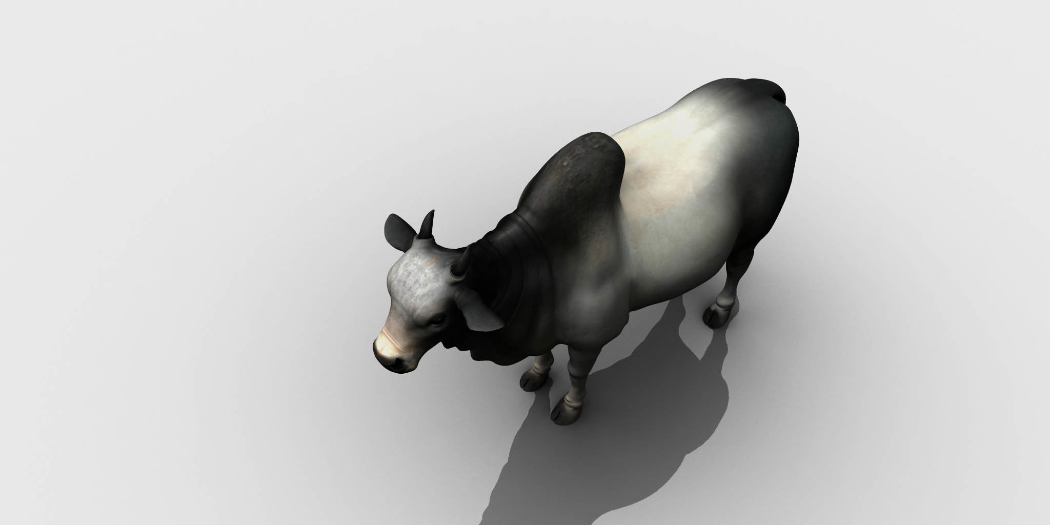 bull 3d model 3D model_8