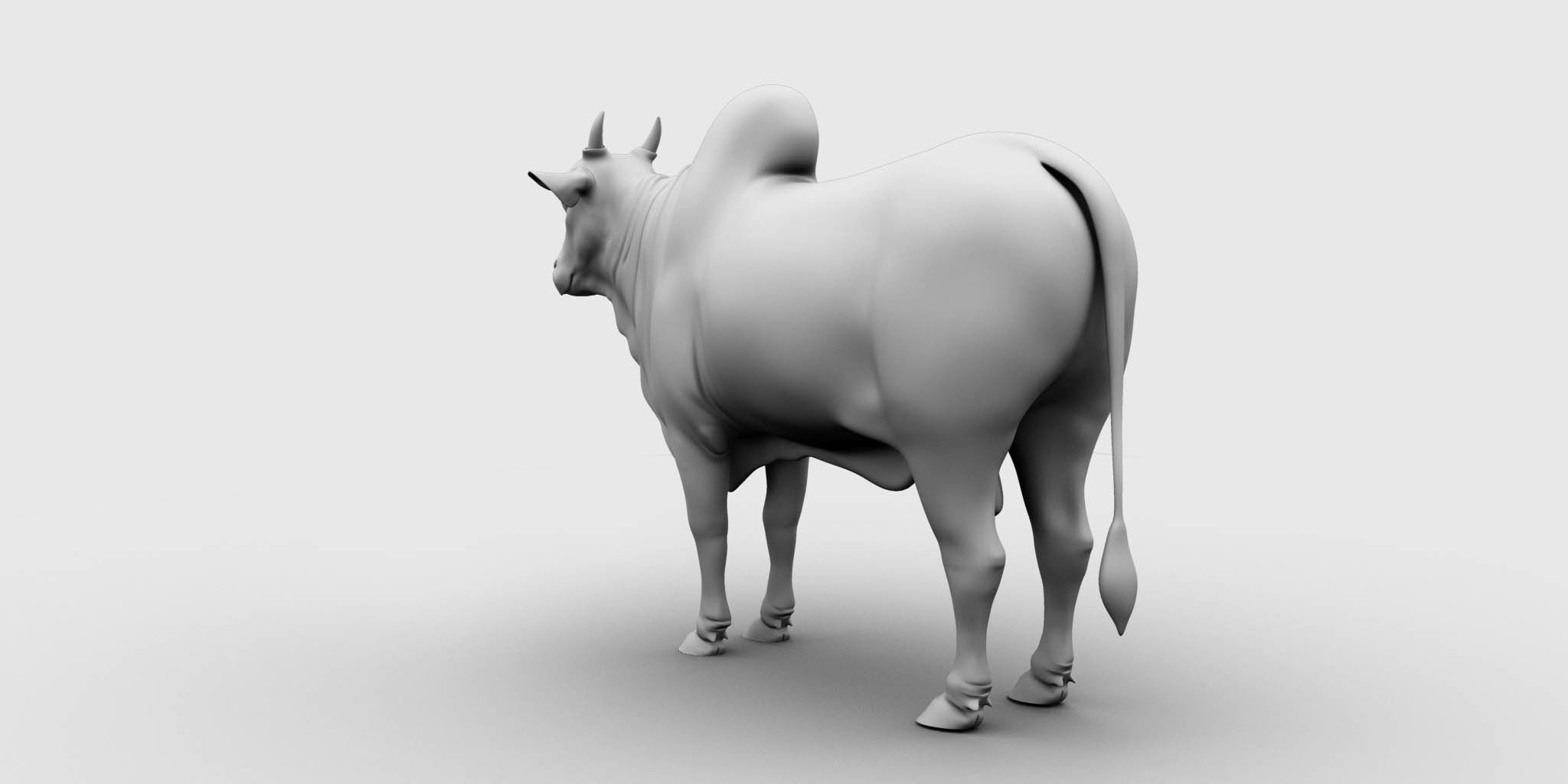 bull 3d model 3D model_11