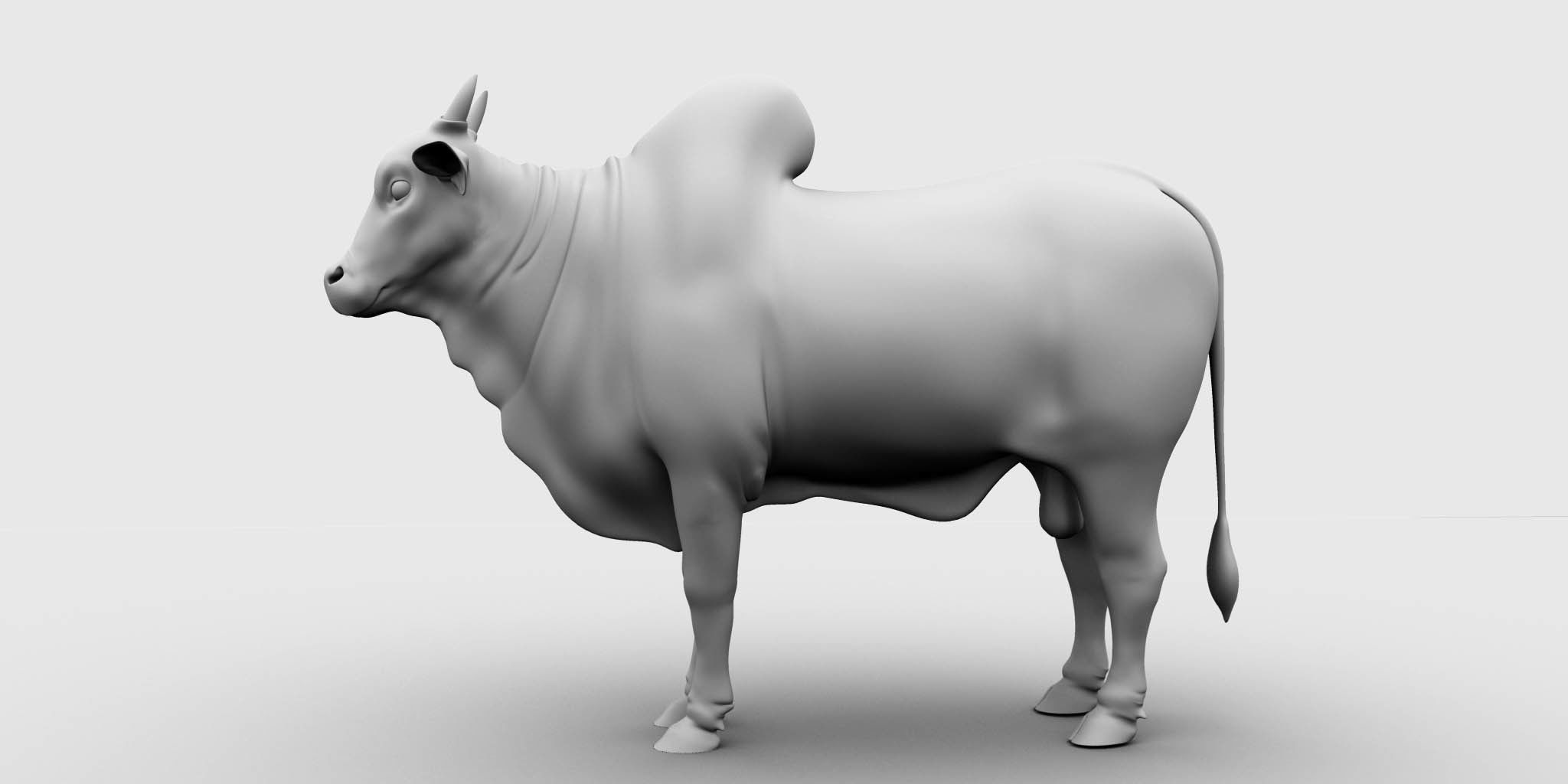 bull 3d model 3D model_10
