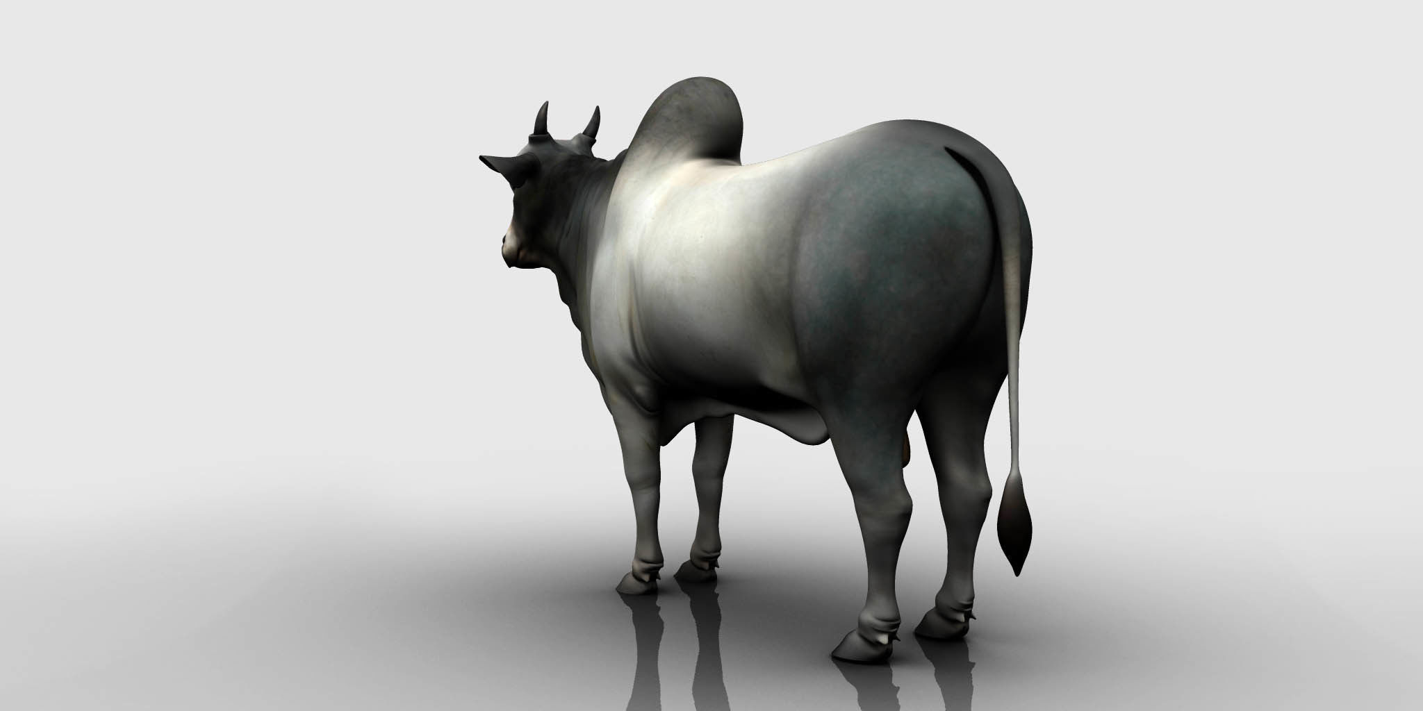 bull 3d model 3D model_6