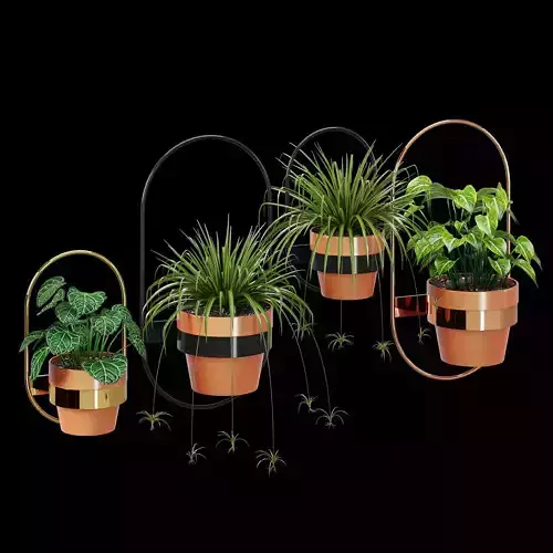 Wall planters oval