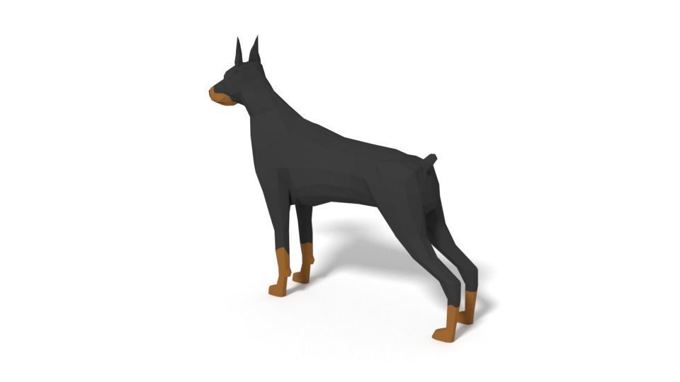 Low Poly Domestic Animals Collection _51