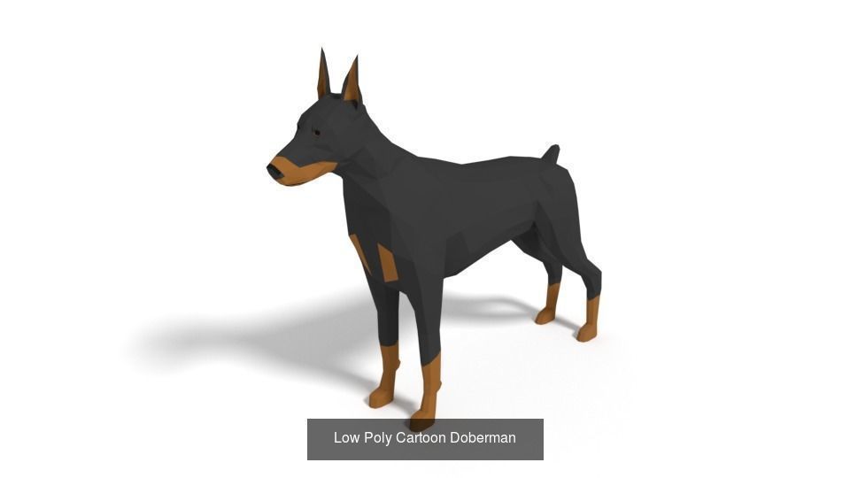 Low Poly Domestic Animals Collection _11