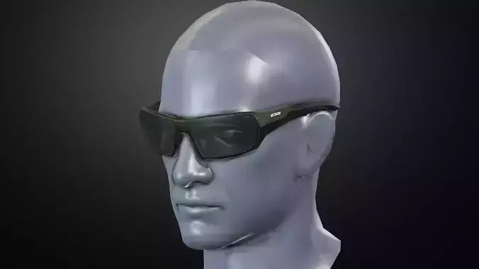 ESS RollBar glasses Low-poly 3D model