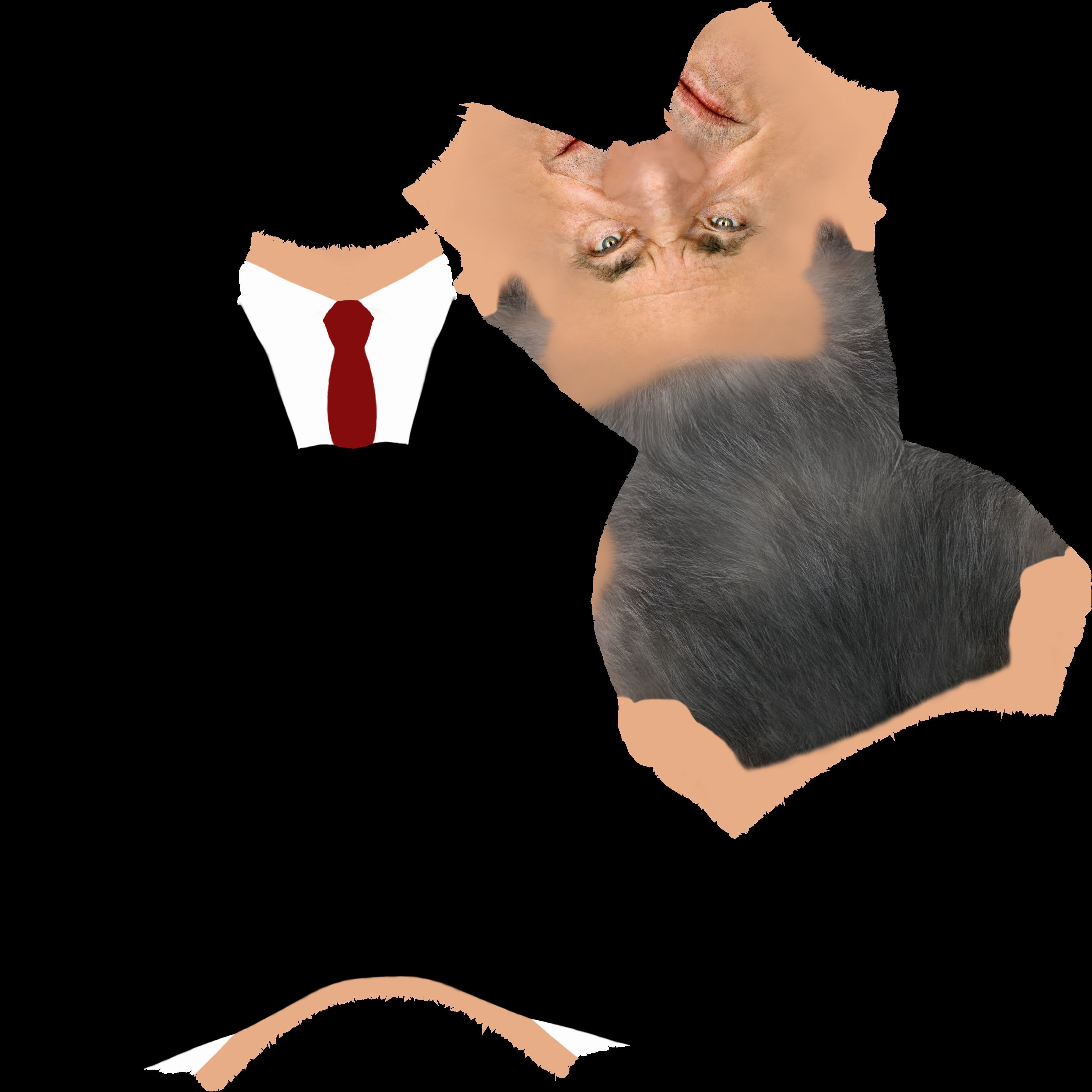 Jack Nicholson bust ready for full color 3D printing 3D print model_22