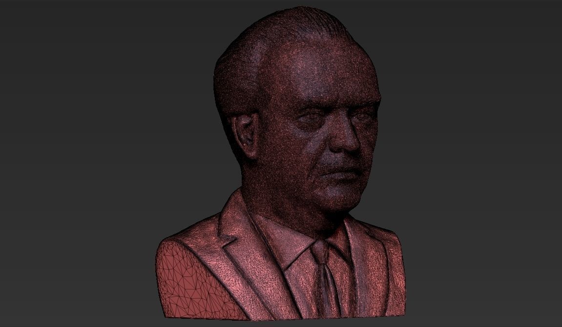 Jack Nicholson bust ready for full color 3D printing 3D print model_48
