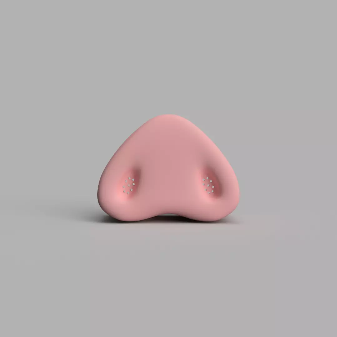 Pig Nose for costumes and cosplay 3D print model_0