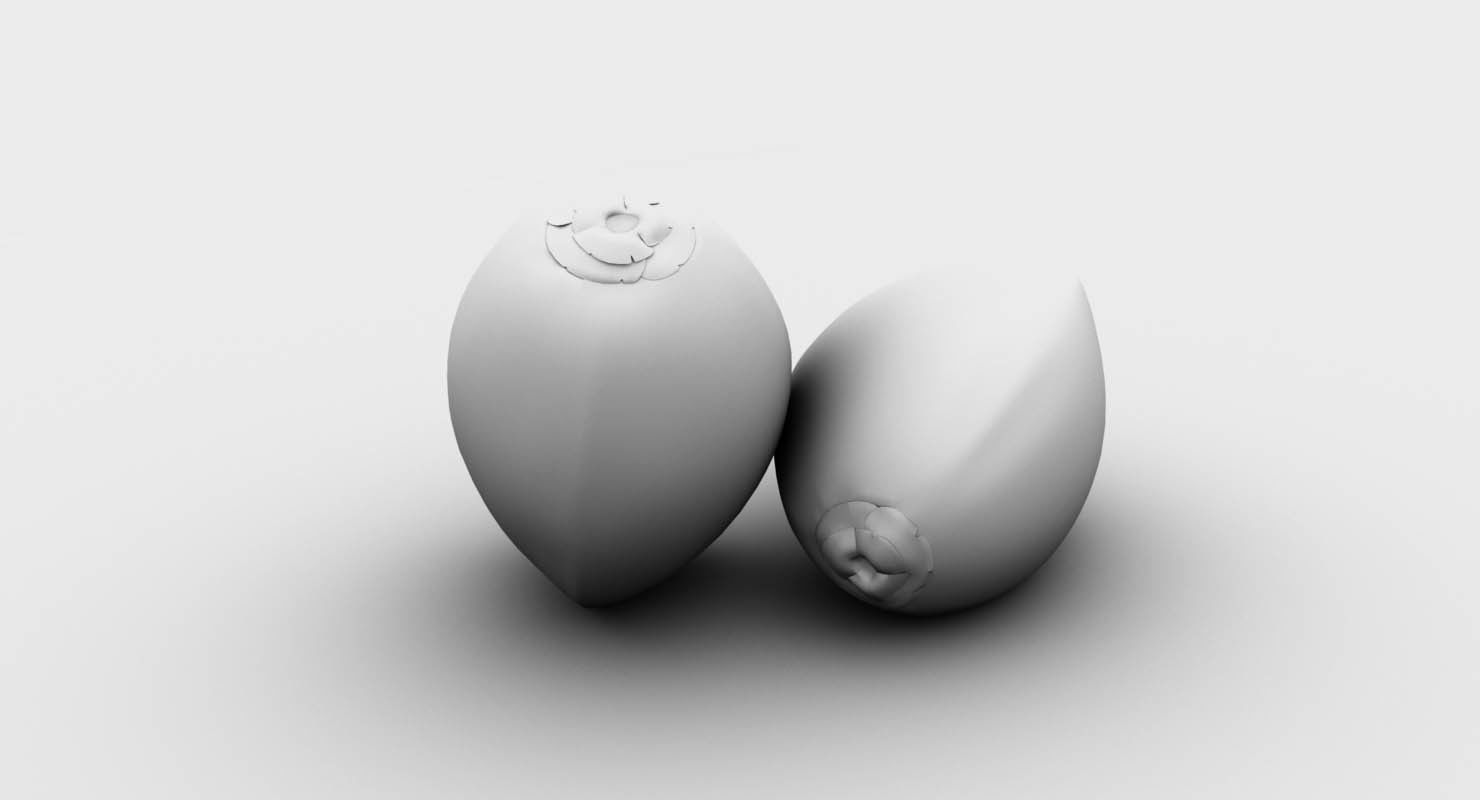 coconut 3d model two fruits 3D model_2
