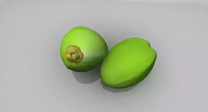 coconut 3d model two fruits