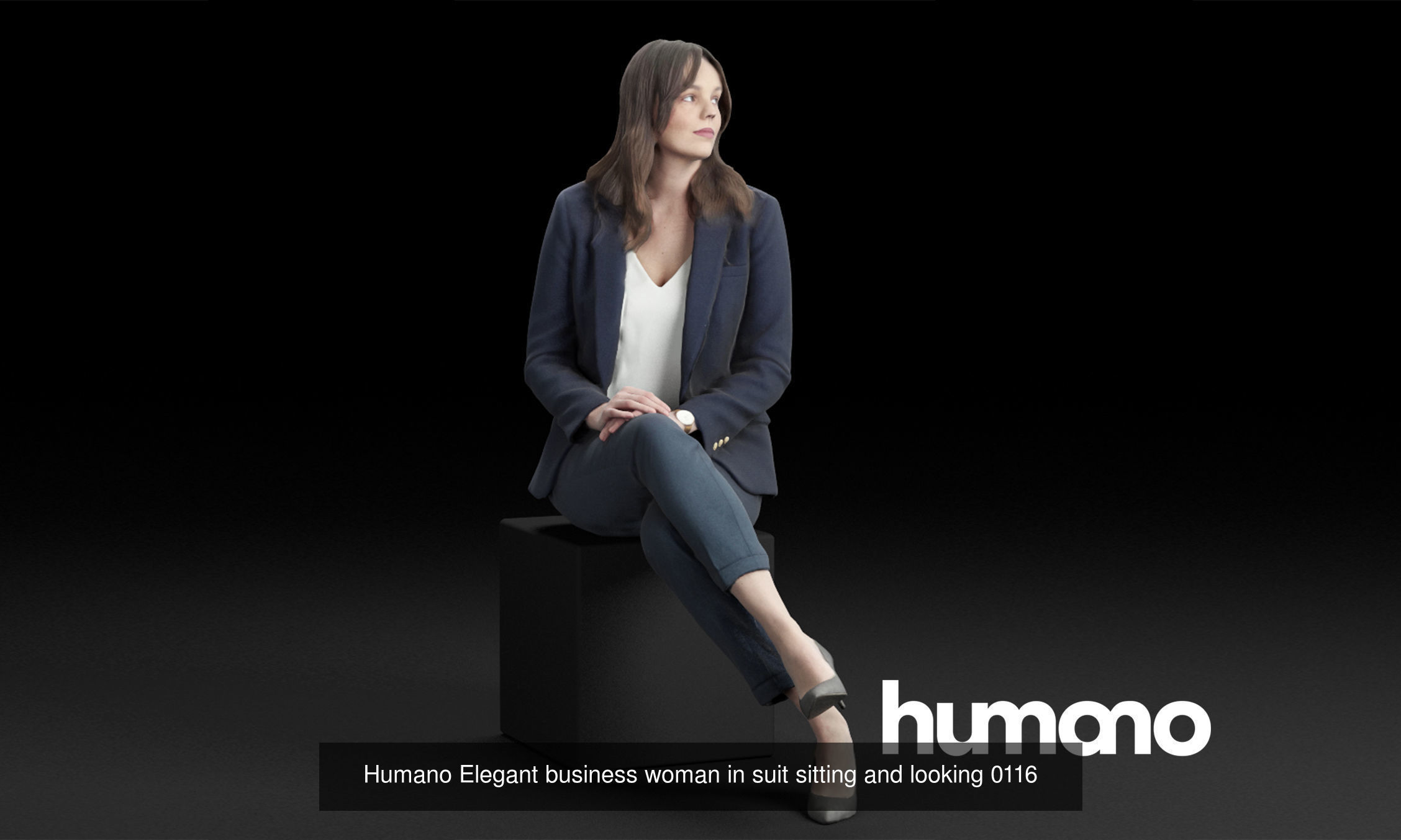 Humano 5-Pack -Business meeting - 5x 3D models 01B 3D Model Collection_3