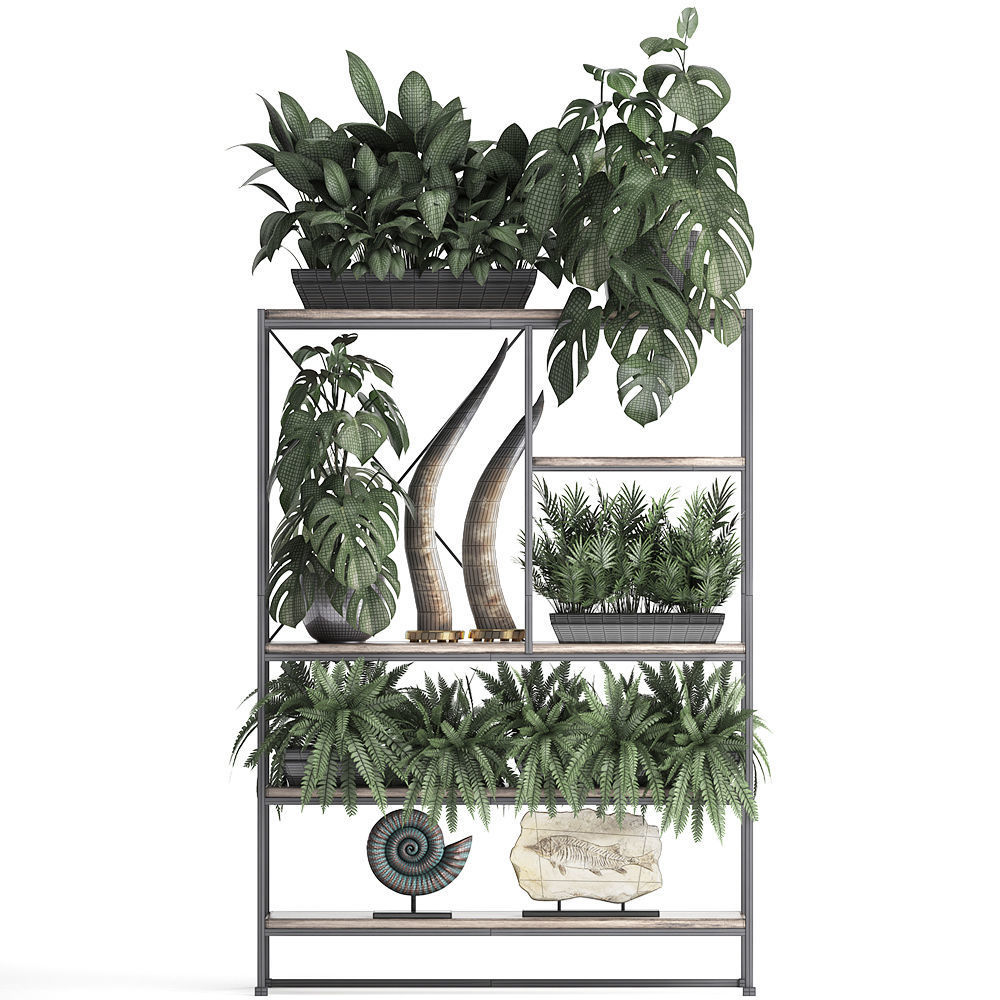 Shelf rack with decor and plants 3D model_6