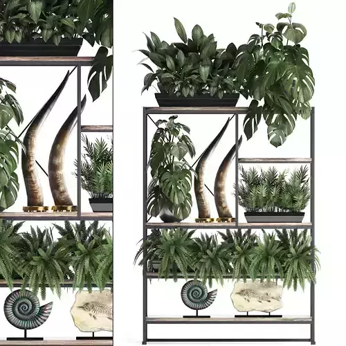 Shelf rack with decor and plants 3D model
