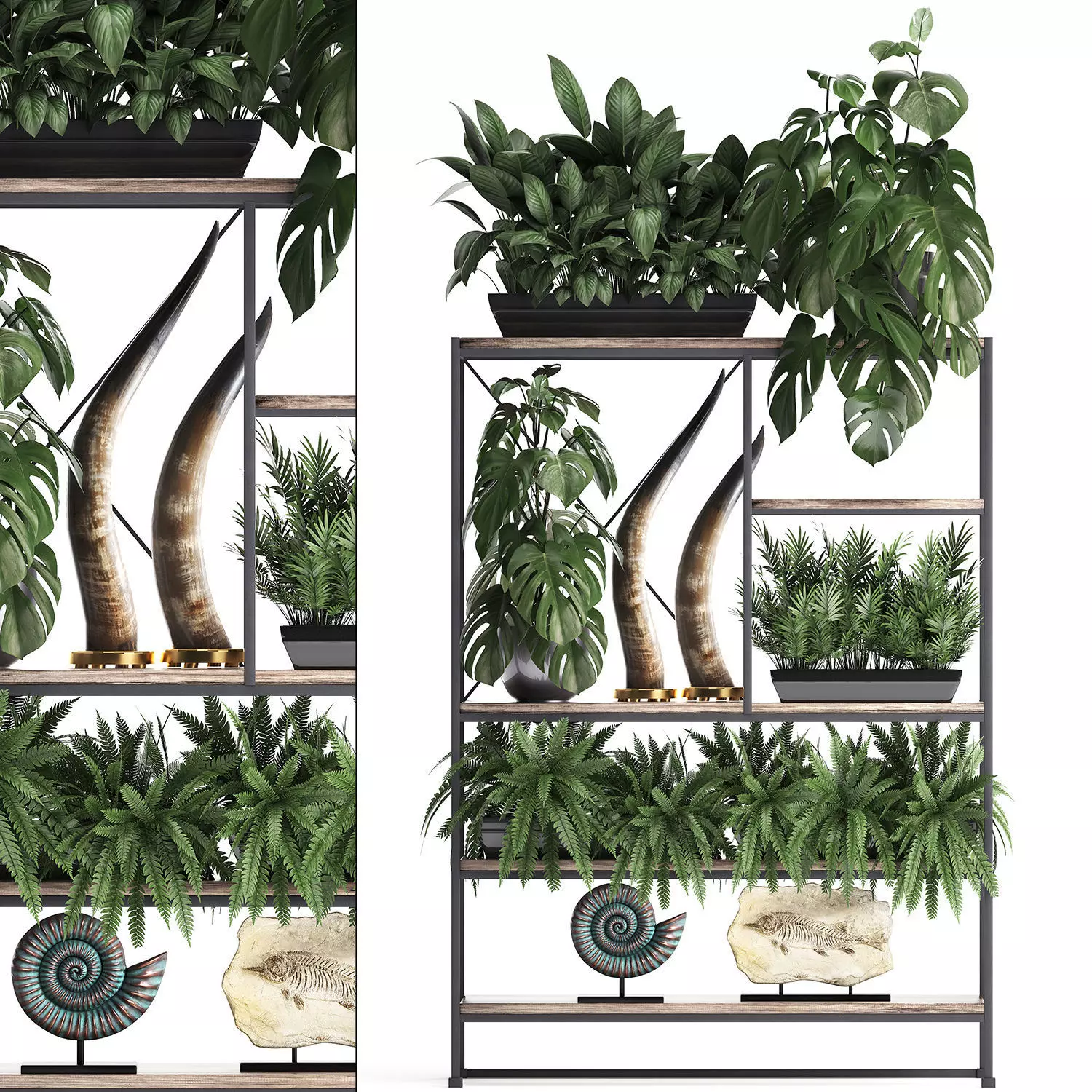 Shelf rack with decor and plants 3D model_0