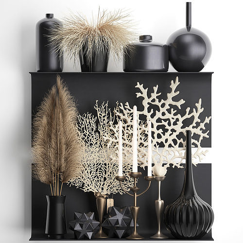 Decorative shelf with coral and reeds 3D model