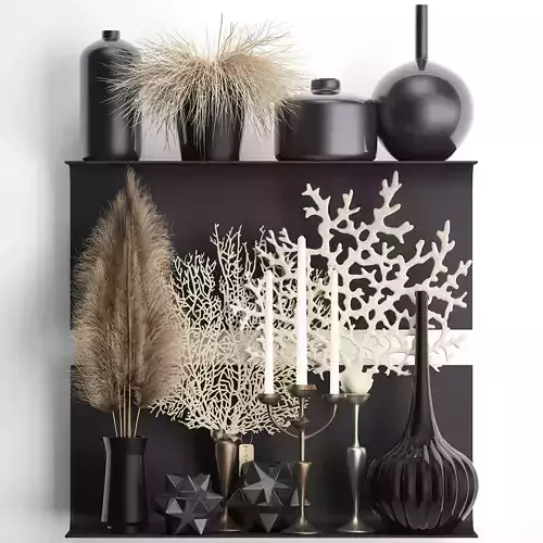 Decorative shelf with coral and reeds 3D model