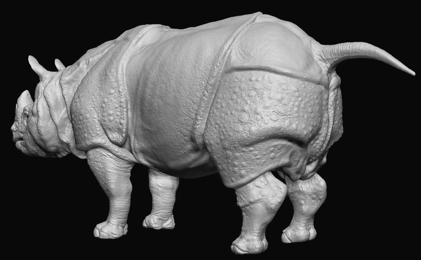 Indian Rhinoceros - Sculpt 3D model_10