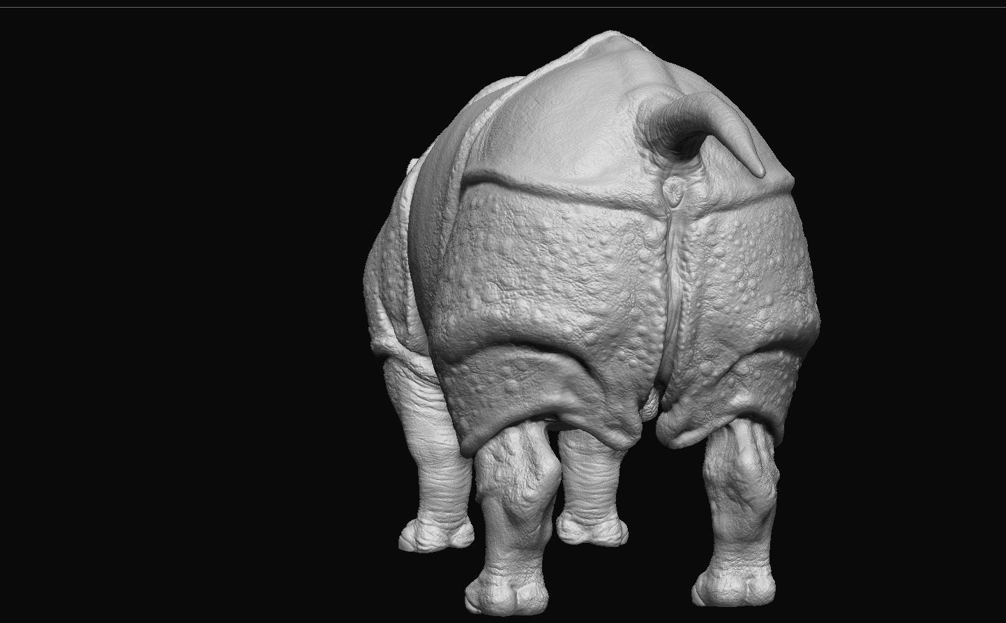 Indian Rhinoceros - Sculpt 3D model_9