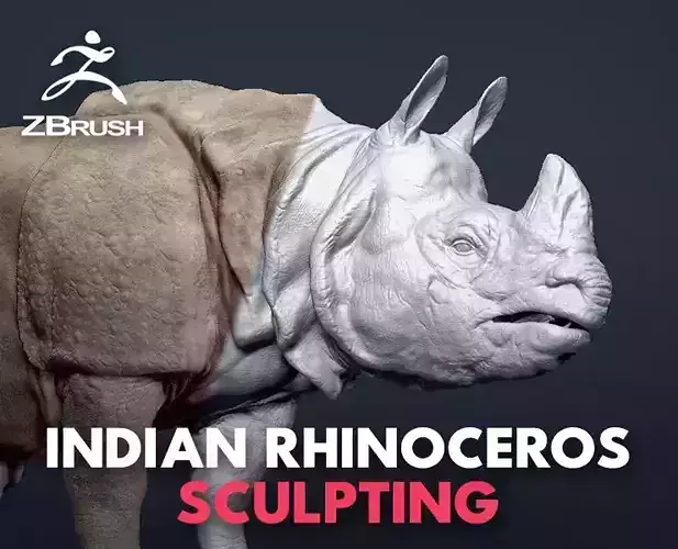 Indian Rhinoceros - Sculpt 3D model