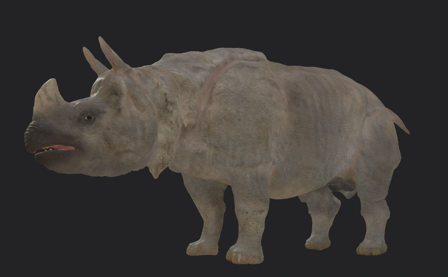 Indian Rhinoceros - Sculpt 3D model_13