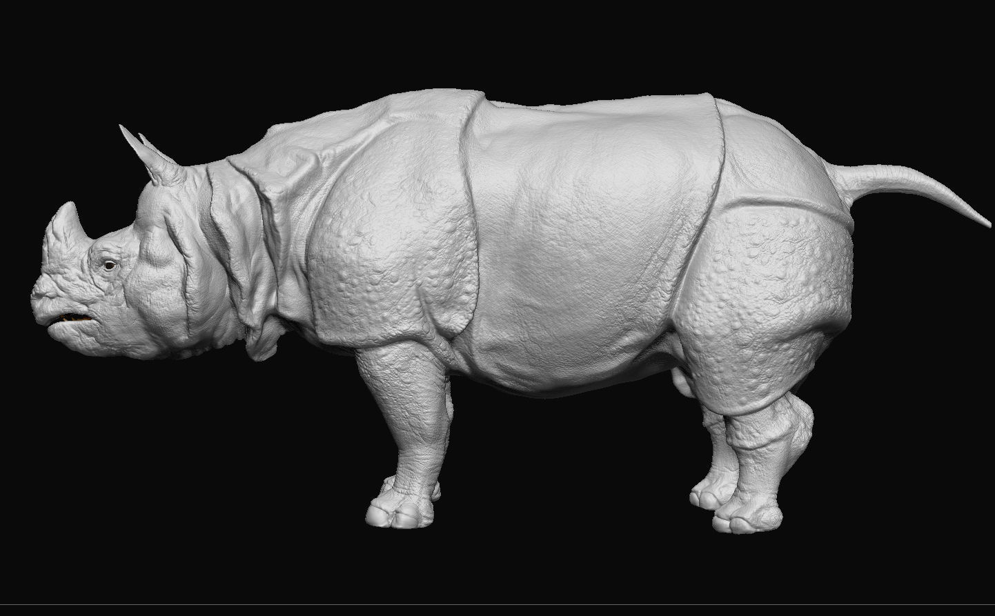 Indian Rhinoceros - Sculpt 3D model_11