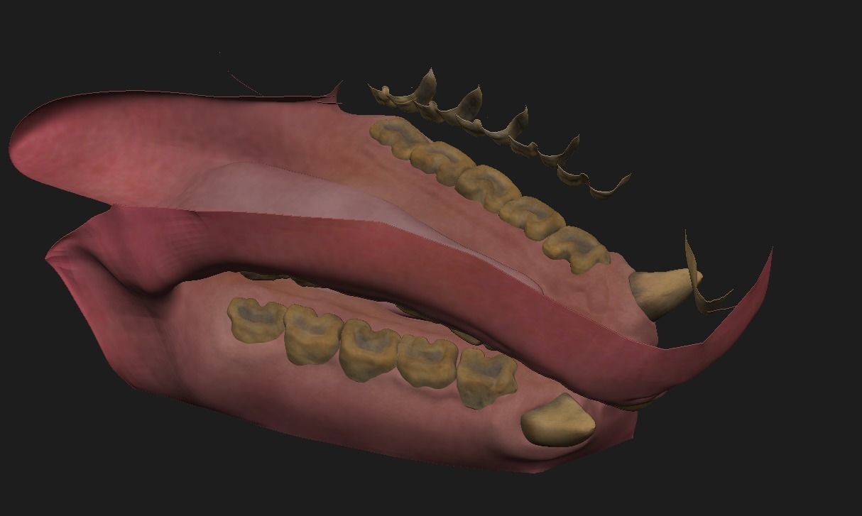 Indian Rhinoceros - Sculpt 3D model_15